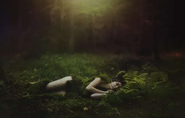 Picture forest, girl, style, moss, lies