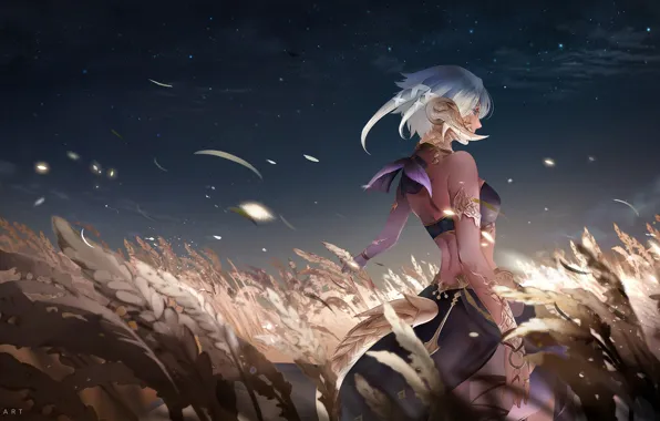 Picture Girl, Field, The game, Girl, Art, Night, Spikelets, Illustration, Final Fantasy XIV, Game Art, by …