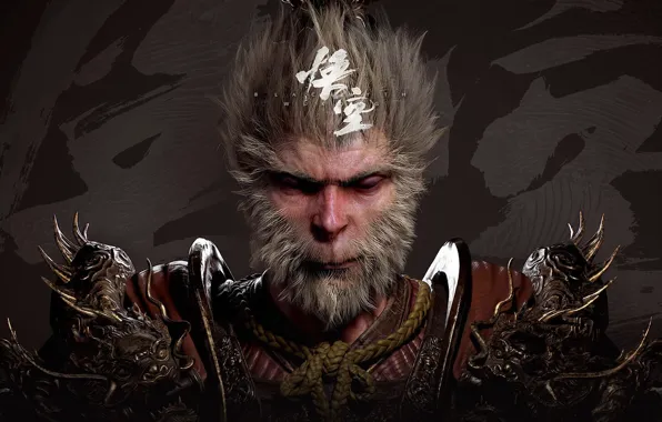 Picture game, wukong, the monkey king, Black myth: wukong