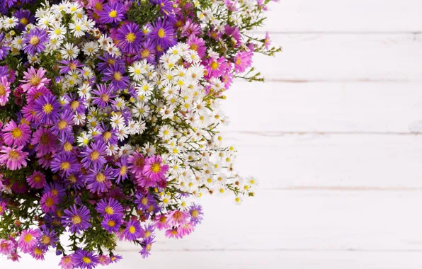 Picture flowers, Board, chamomile, bouquet, pink, white, light background, field, a lot, different, lilac, asters