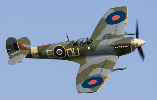 Picture Fighter, Spitfire, Supermarine Spitfire, RAF, The Second World War