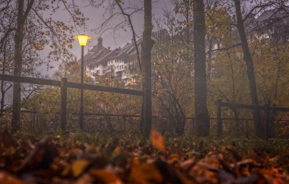 Picture autumn, trees, fog, building, home, Switzerland, lantern, Switzerland, fallen leaves, Виль, Wil