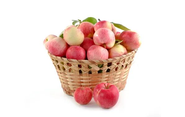 Picture apples, harvest, basket