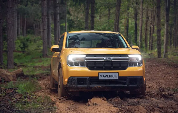 Picture Ford, Yellow, 4x4, Offroad, Mud, Maverick