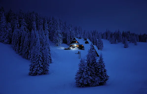 Picture Winter, Mountains, Night, Forest, House
