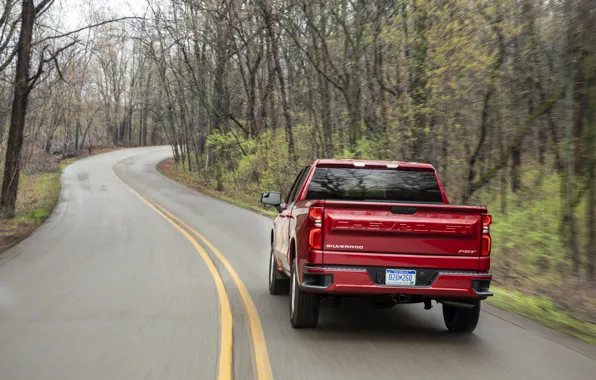 Picture red, Chevrolet, rear view, pickup, Silverado, 2019, RST