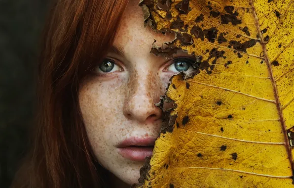Picture autumn, sheet, freckles, sponge, Autumn leaf, Lily Trouble