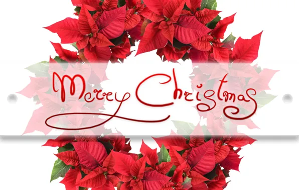 Picture leaves, holiday, the inscription, Christmas, red, white background, New year, wreath, Merry Christmas