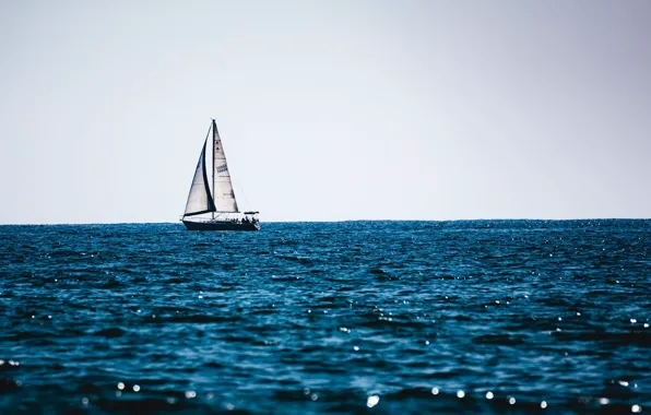 Picture the way, the ocean, morning, yacht, horizon, sails
