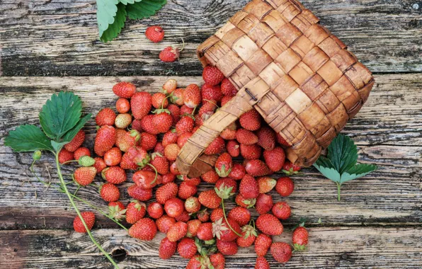 Picture berries, basket, strawberries