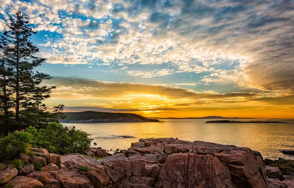 Picture USA, sky, trees, landscape, nature, water, mountains, clouds, rocks, sunrise, Maine, Mount Desert Island