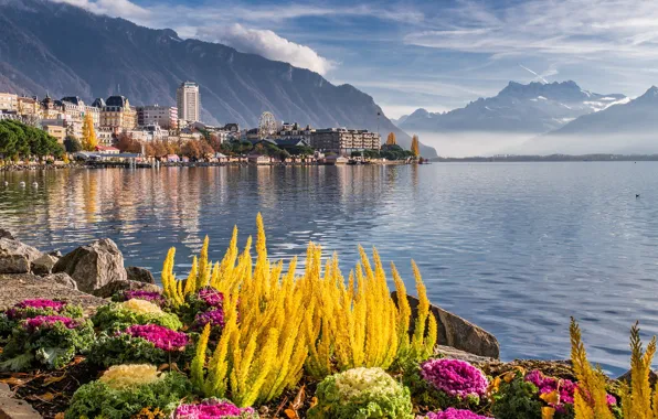Picture sea, flowers, mountains, nature, Switzerland, Montreux