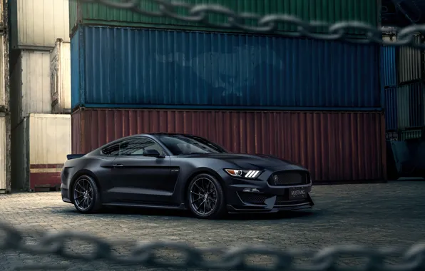 Picture car, machine, tuning, Mustang, Ford, wheels, chain, Ford Mustang, tuning, containers, Ford Mustang GT350