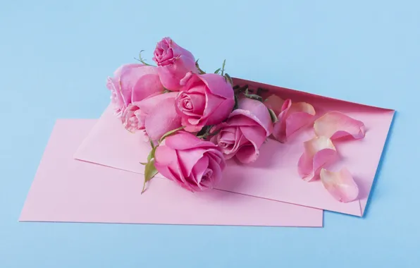 Picture flowers, roses, pink, pink, flowers, beautiful, romantic, letter, roses