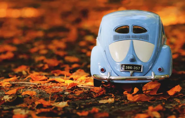 Picture machine, auto, autumn, leaves, nature, background, foliage, toy, room, Volkswagen, car, machine, rear view, blue, …