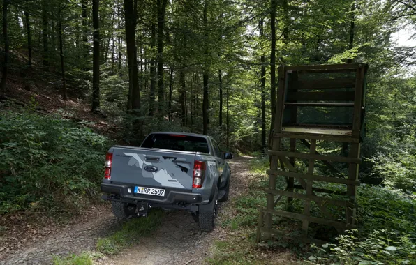 Picture grey, Ford, Raptor, pickup, Ranger, in the woods, 2019