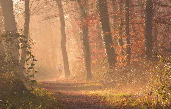 Picture autumn, forest, girl, fog, Park, path
