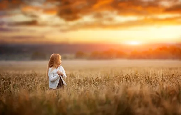 Picture field, sunset, nature, child, the evening, girl, Renat Fotov
