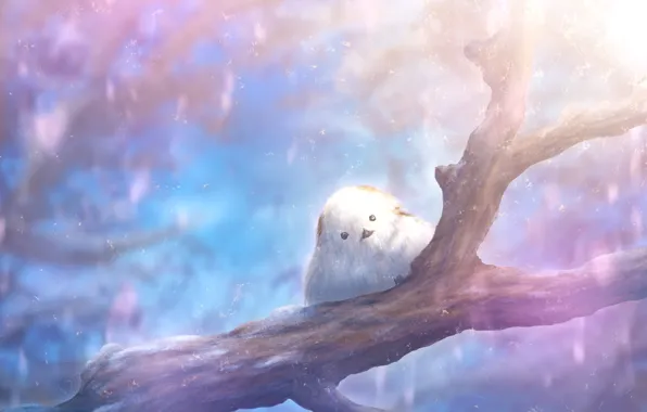 Picture snow, tree, bird