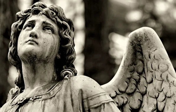 Picture sadness, angel, statue, нагробие