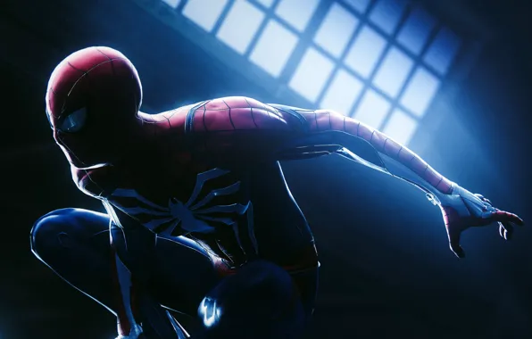 Picture costume, superhero, Spider-man, MARVEL, Spider-Man