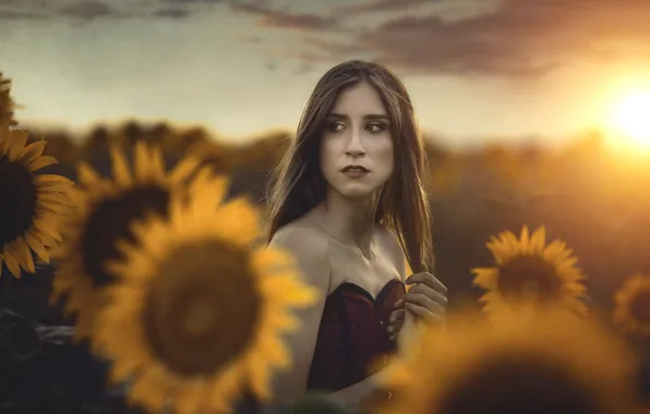 Picture summer, girl, sunflowers