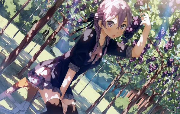 Picture vineyard, schoolgirl, sitting on a chair, in the shadows, lilac hair, bunch of grapes, by …