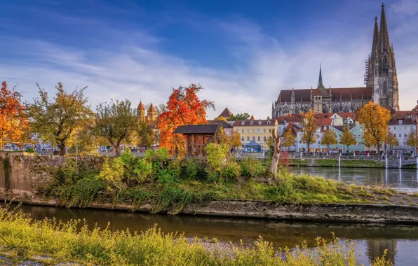 Picture autumn, the sky, the sun, trees, river, home, Germany, Bayern, temple, Regensburg