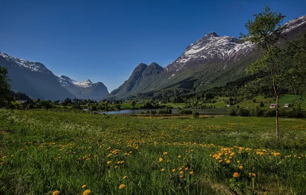 Picture summer, landscape, mountains, meadow, Norway