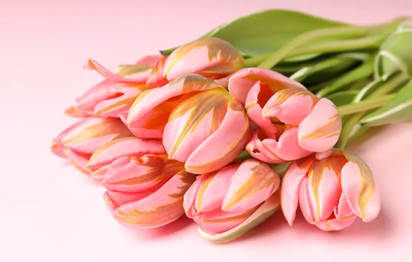 Picture flowers, bouquet, tulips, pink, flowers, tulips, spring, bouquet, with love