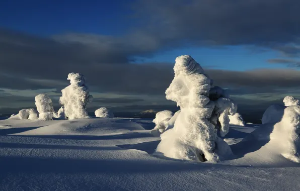 Picture winter, snow, trees, landscape, nature, ate, shadows, Maxim Evdokimov, Kandalaksha