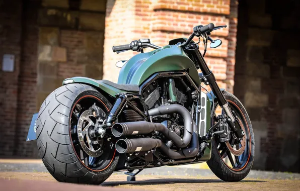 Picture Harley-Davidson, Custom, Thunderbike, VRSC, Green Poison