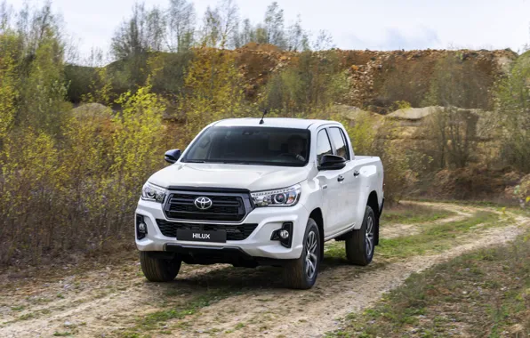 Picture white, vegetation, Toyota, pickup, Hilux, primer, Special Edition, 2019