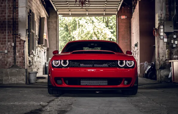 Picture Dodge, Challenger, Front, RED, R/T, Face, Sight