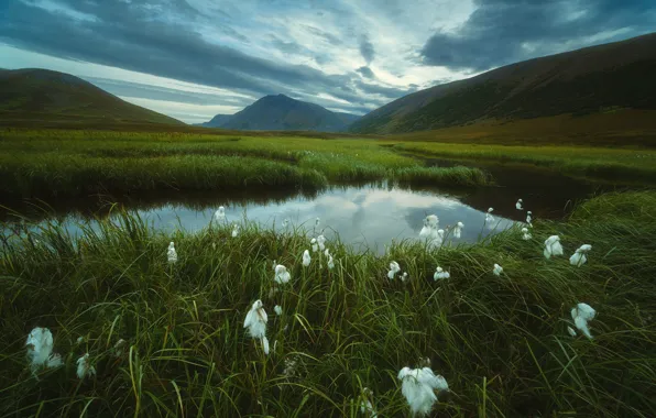 Picture grass, landscape, mountains, clouds, nature, lake, tundra, Bank, Ural, cottongrass, Rev Alex