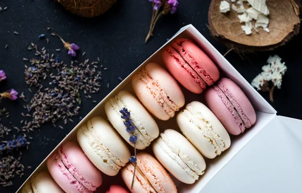 Picture colorful, box, flowers, lavender, lavender, french, macaron, macaroon