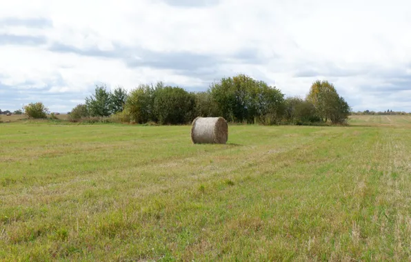 Picture field, autumn, the sky, earth, hay, green, Ostankino tower, ochre, grey-blue
