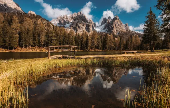 Picture forest, trees, mountains, lake, reflection, Italy, the bridge, The Dolomites