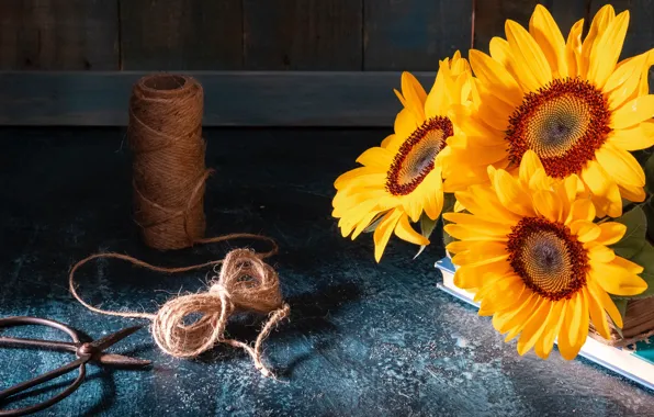 Picture light, sunflowers, flowers, the dark background, table, Board, books, bouquet, rope, yellow, still life, thread, …