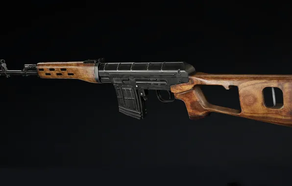 Picture SVD, Legend, Dragunov Sniper Rifle