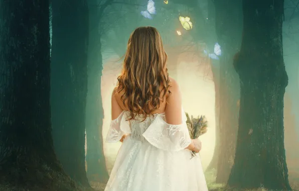 Picture forest, girl, light, trees, butterfly, branches, nature, fog, rendering, magic, magic, trunks, back, bouquet, morning, …