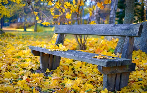 Picture autumn, Park, foliage, bench, bokeh, soon