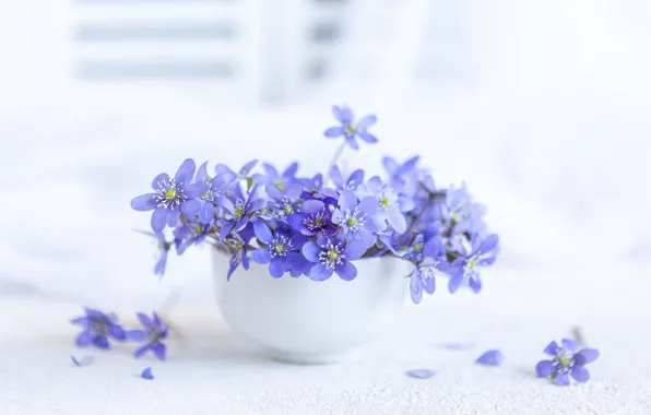 Picture gentle, bouquet, spring, vase, hepatic