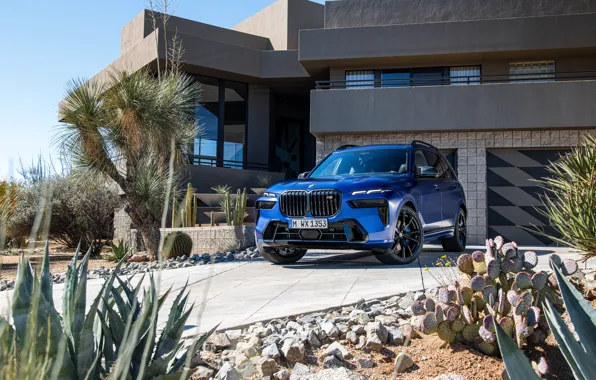 Picture BMW, House, Blue, Front, Side, Road, xDrive, 2022, BMW X7, G07, X7 M60i, BMW X7 …