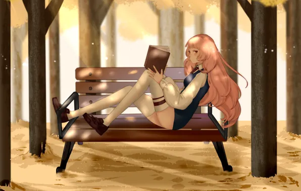 Picture girl, bench, book