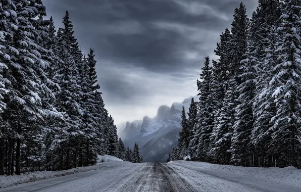 Picture winter, road, forest, trees, mountains, Timothy Poulton