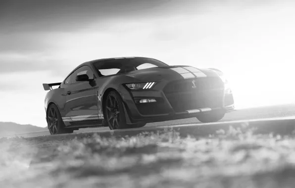 Picture Mustang, Ford, Shelby, GT500, roadside, 2019