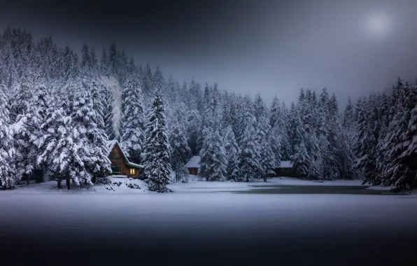 Picture winter, forest, night, house