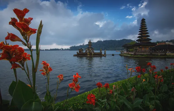 Picture clouds, landscape, flowers, lake, shore, Bali, Indonesia, temple, Pura Ulun Danu, Bro, Pura Ulun Danu