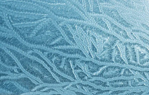 Picture cold, winter, frost, glass, snow, line, pattern, ice, beauty, structure, texture, frost, New year, ornament, …